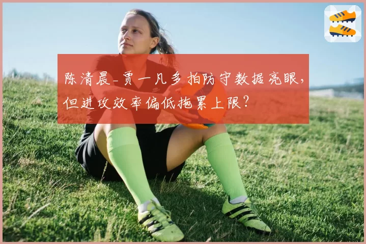 陈清晨_贾一凡多拍防守数据亮眼，但进攻效率偏低拖累上限？