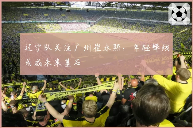 辽宁队关注广州崔永熙，年轻锋线或成未来基石